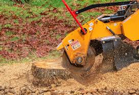 Seasonal Cleanup (Spring/Fall) in Weldon, CA